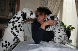 VENTE CHIOT 092